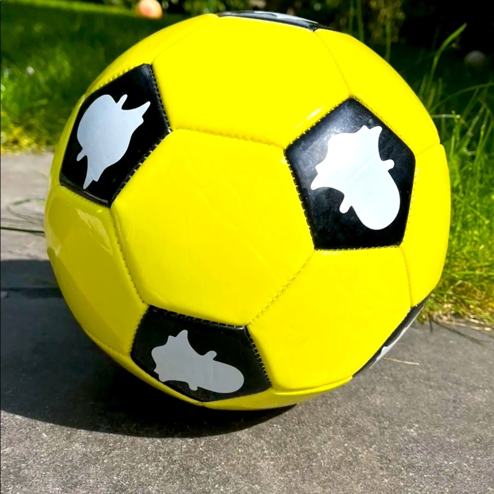 Snapchat Official Merchandise- Size 5 Football Leather Baden Stock